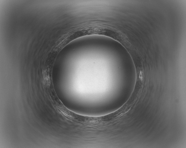 X0000057560771200509161002