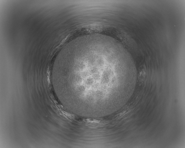 X0000057560772200509161002