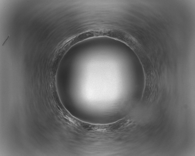 X0000057560773200509161002