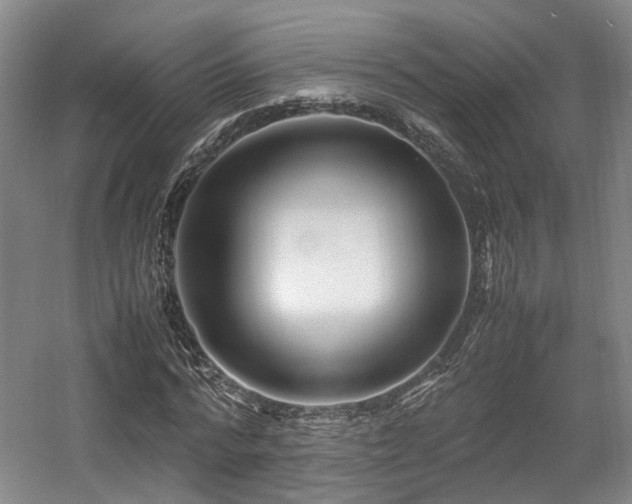 X0000057560776200509161002