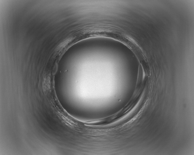 X0000057560777200509161002