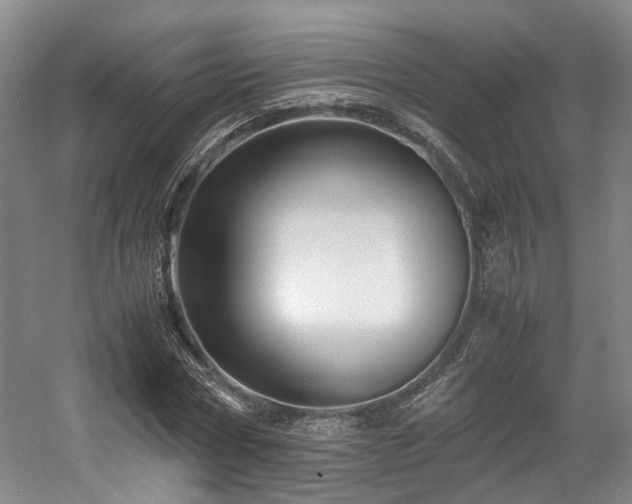 X0000057560778200509161002