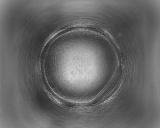 X0000057560779200509161002
