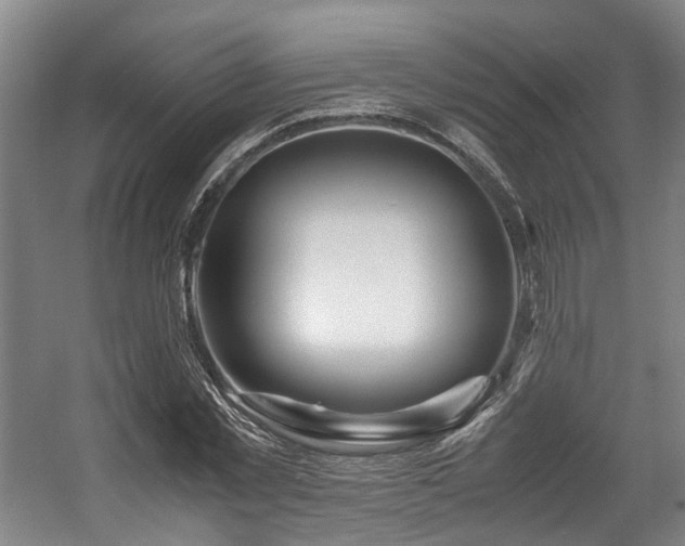X0000057560781200509161002