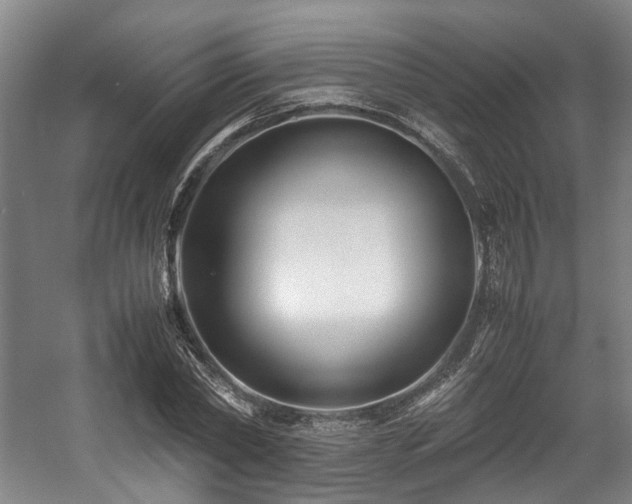 X0000057560782200509161002