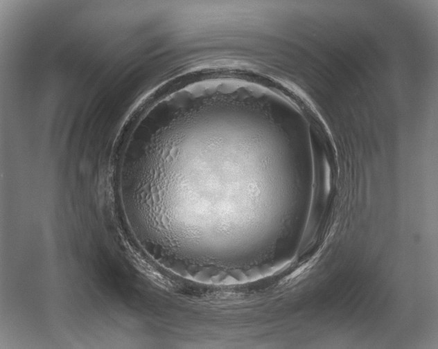 X0000057560783200509161002