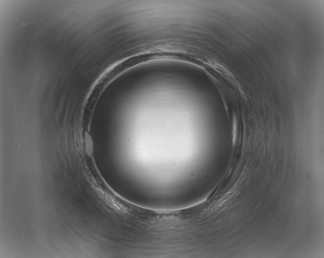 X0000057560784200509161002