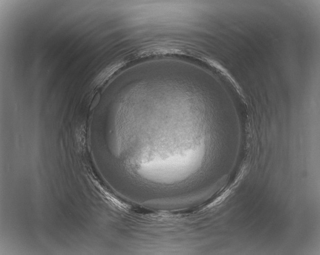 X0000057560785200509161002