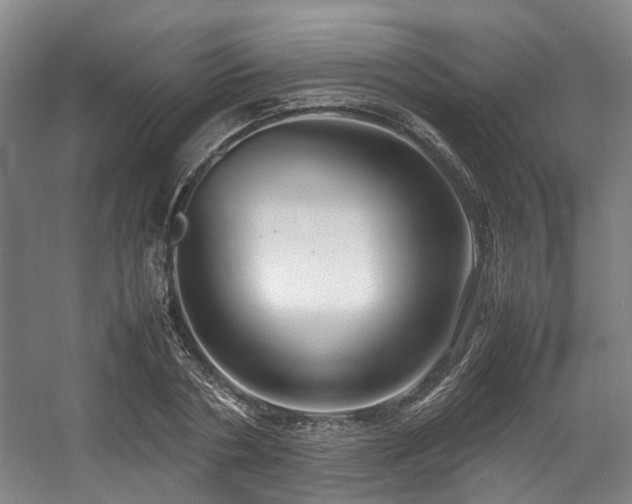 X0000057560786200509161002