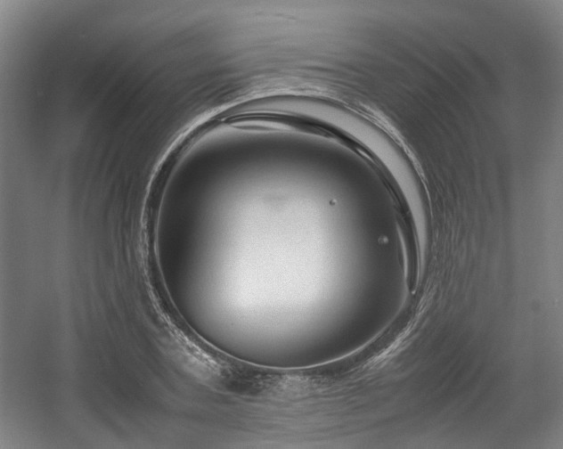 X0000057560787200509161002