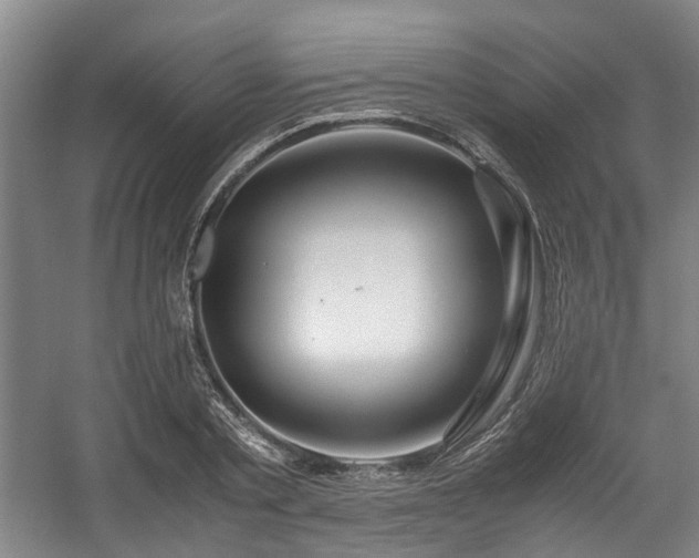 X0000057560789200509161002
