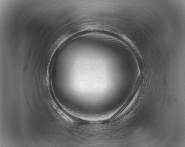 X0000057560791200509161002
