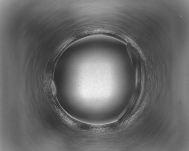 X0000057560793200509161002