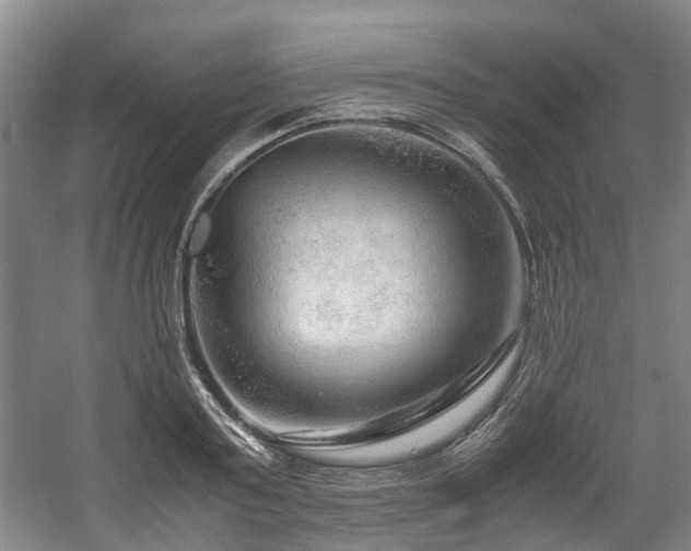 X0000057560795200509161002