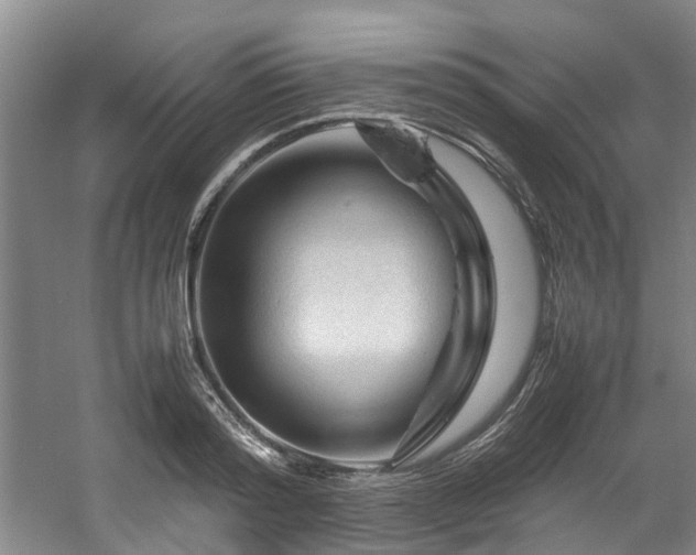X0000057560796200509161002