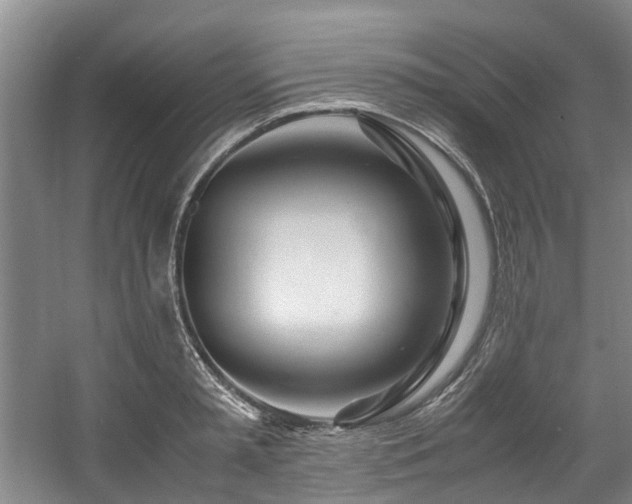 X0000057560797200509161002