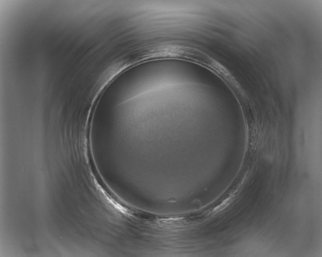 X0000057560802200509161002