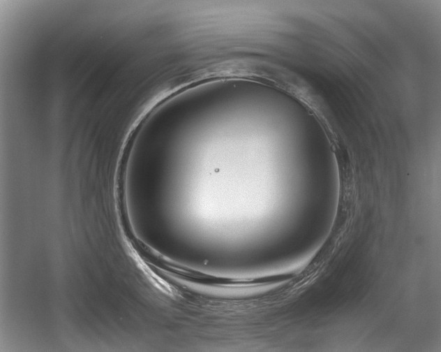 X0000057560803200509161002