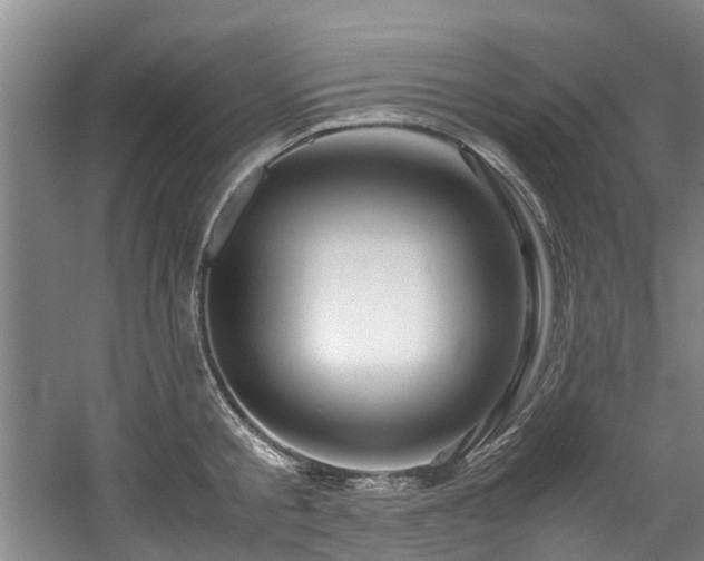 X0000057560805200509161002