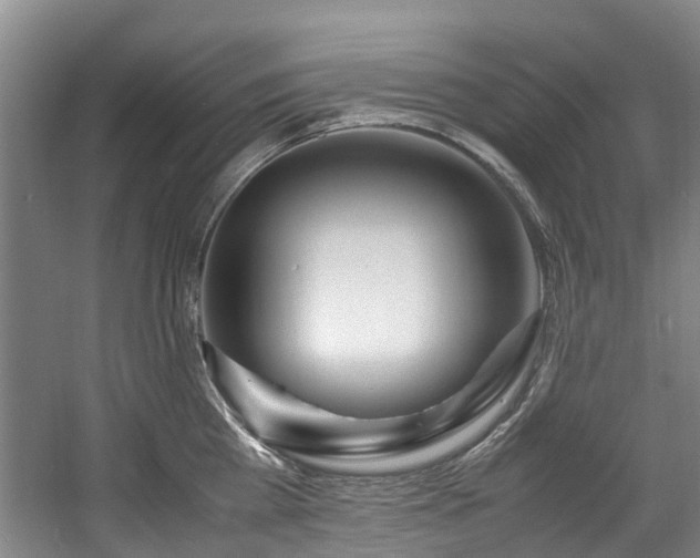 X0000057560809200509161002