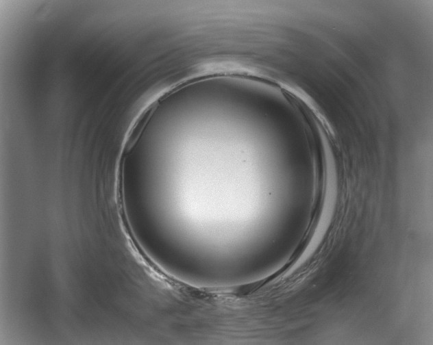 X0000057560815200509161001