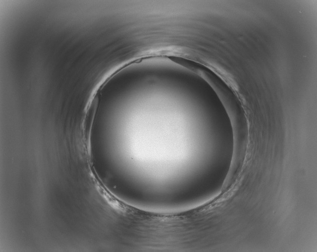 X0000057560816200509161001