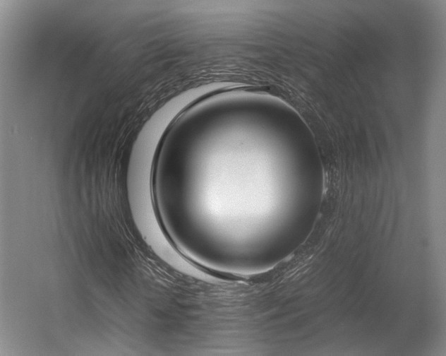 X0000057560818200509161001