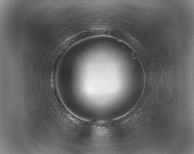 X0000057560821200509161001