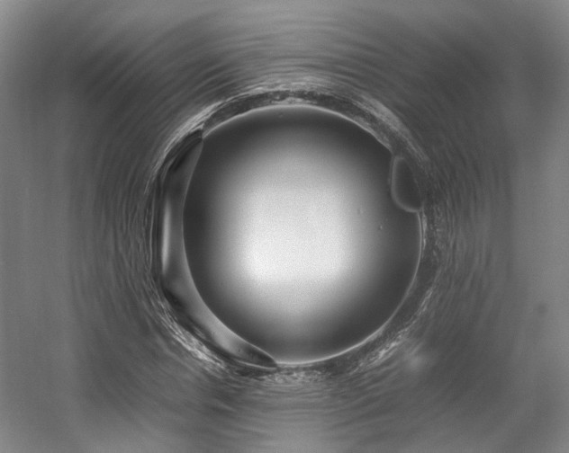 X0000057560826200509161001