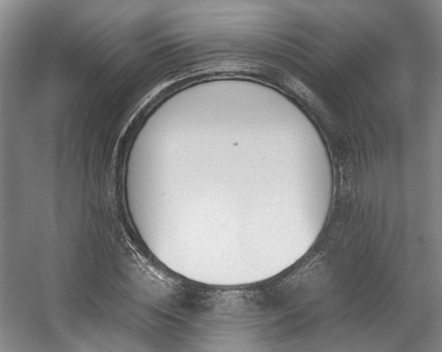 X0000057560828200509161001