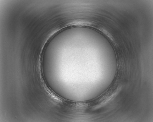 X0000057560848200509161001
