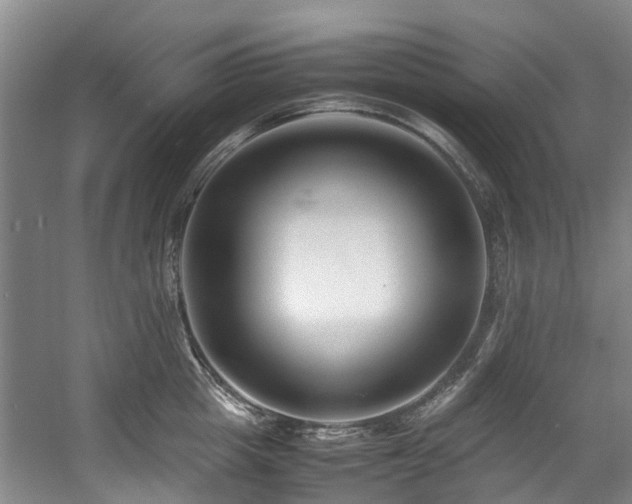 X0000057560857200509161001