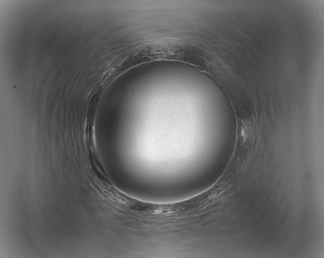 X0000057560867200509161001