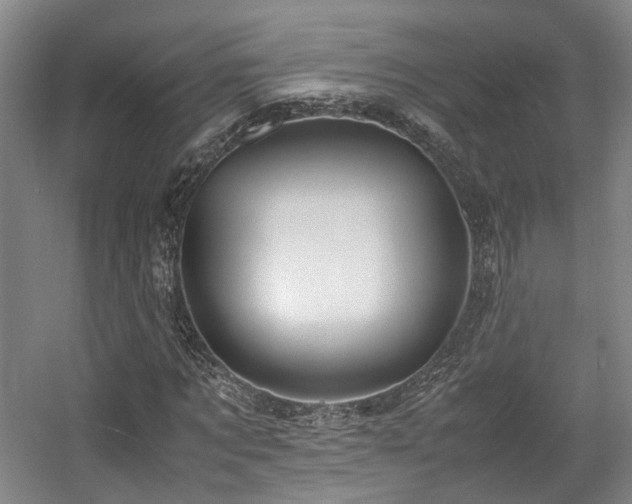 X0000057560869200509161000