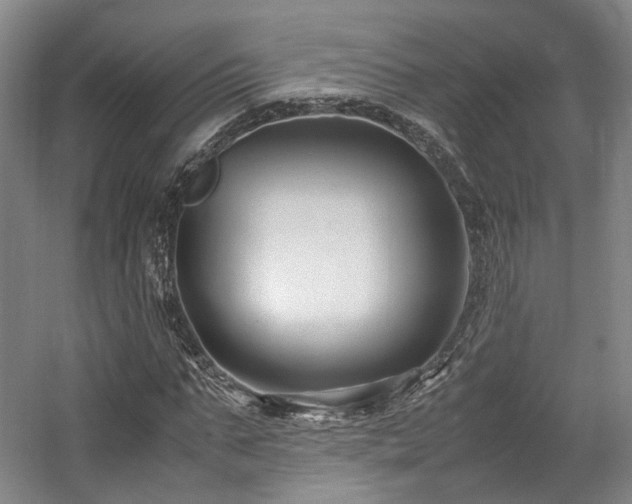 X0000057560871200509161000