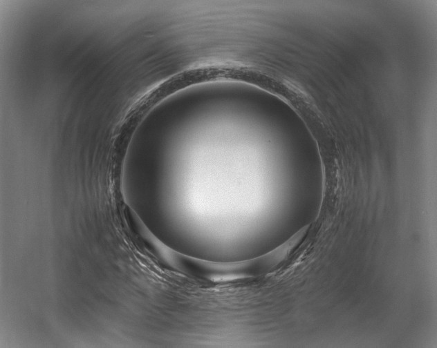 X0000057560872200509161000