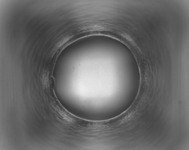 X0000057560873200509161000