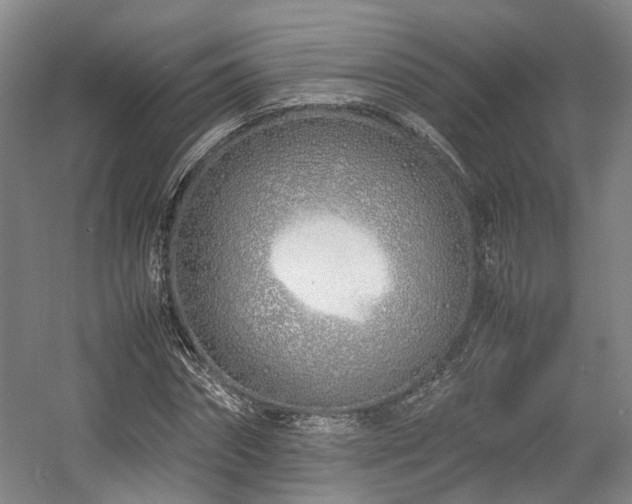 X0000057560874200509161000