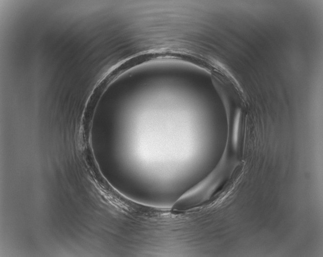 X0000057560876200509161000