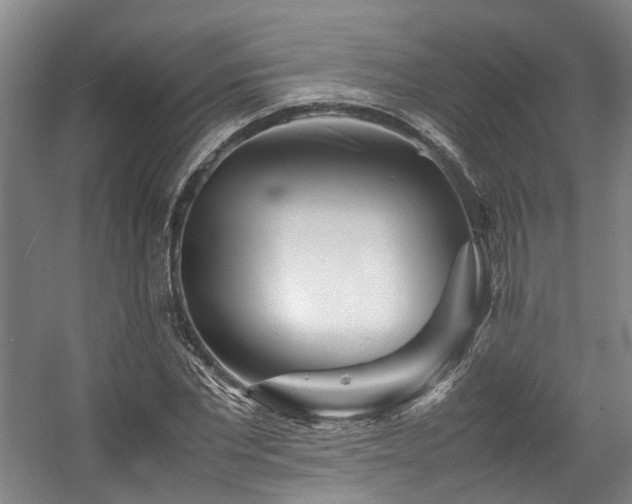 X0000057560877200509161000