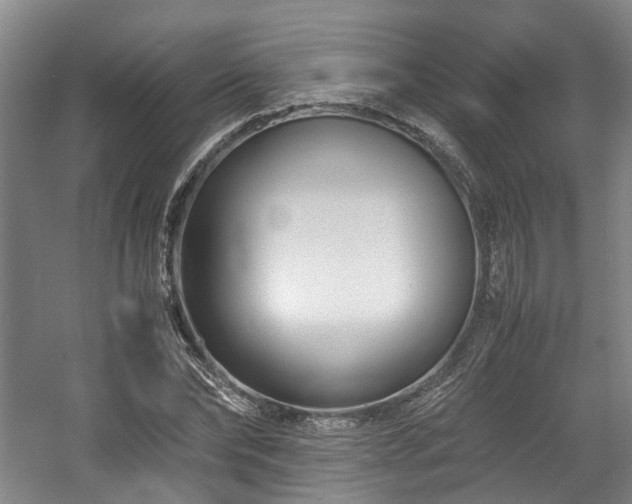 X0000057560878200509161000