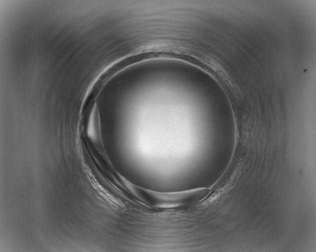 X0000057560880200509161000