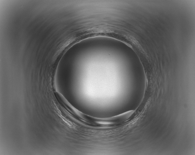 X0000057560881200509161000