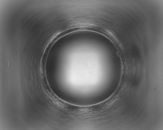 X0000057560883200509161000