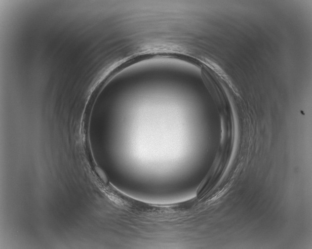 X0000057560885200509161000