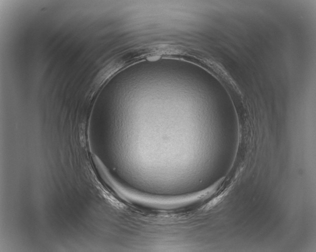 X0000057560889200509161000