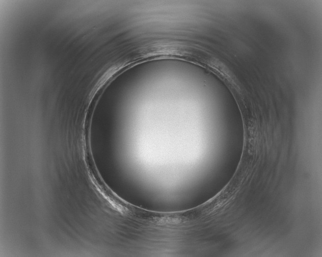 X0000057560890200509161000