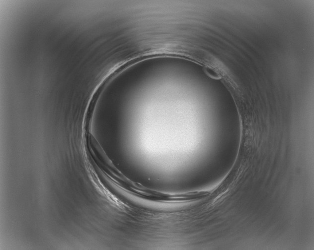 X0000057560892200509161000