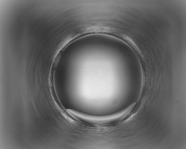 X0000057560893200509161000
