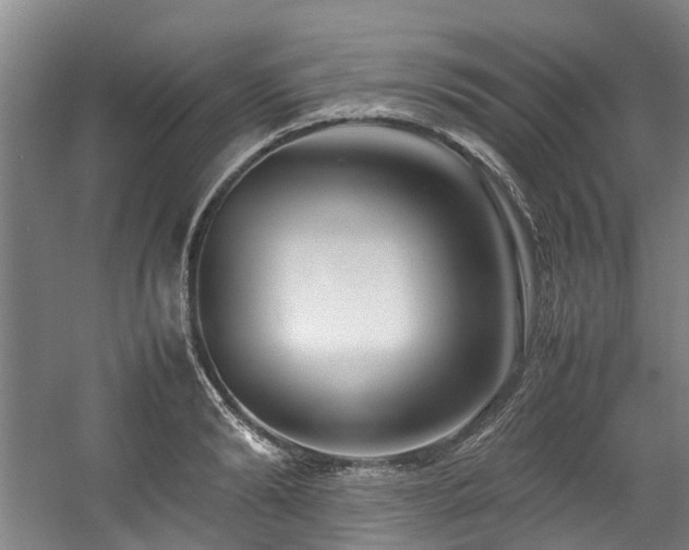 X0000057560894200509161000